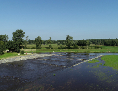 KliGeW