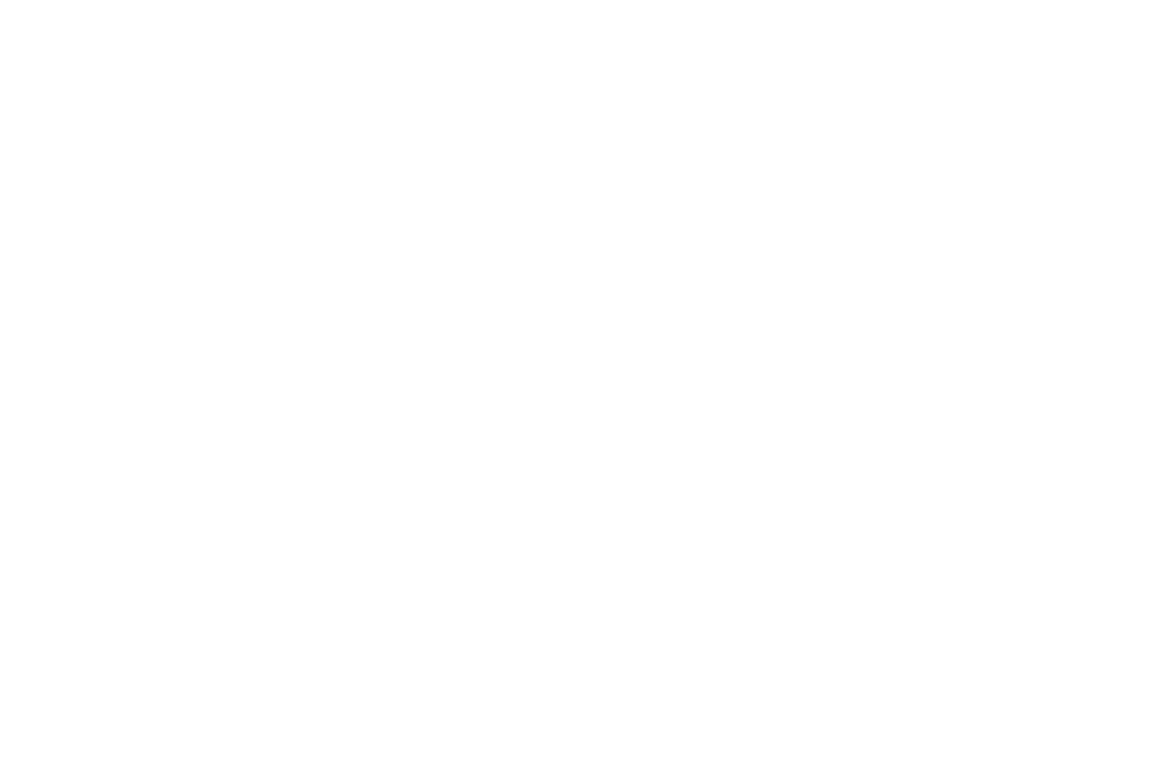 Die Braunschweigische Stiftung